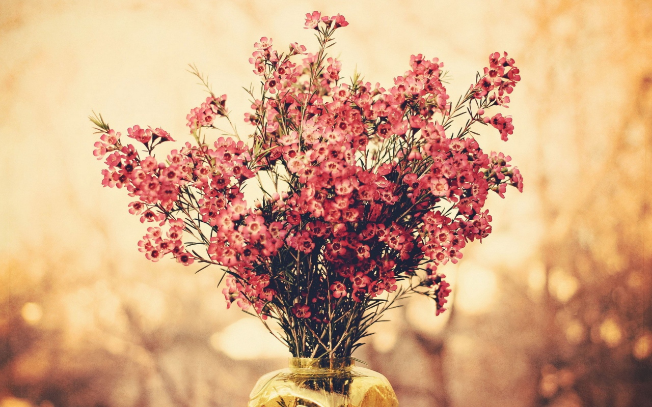Букет полевых розовых цветов в вазе