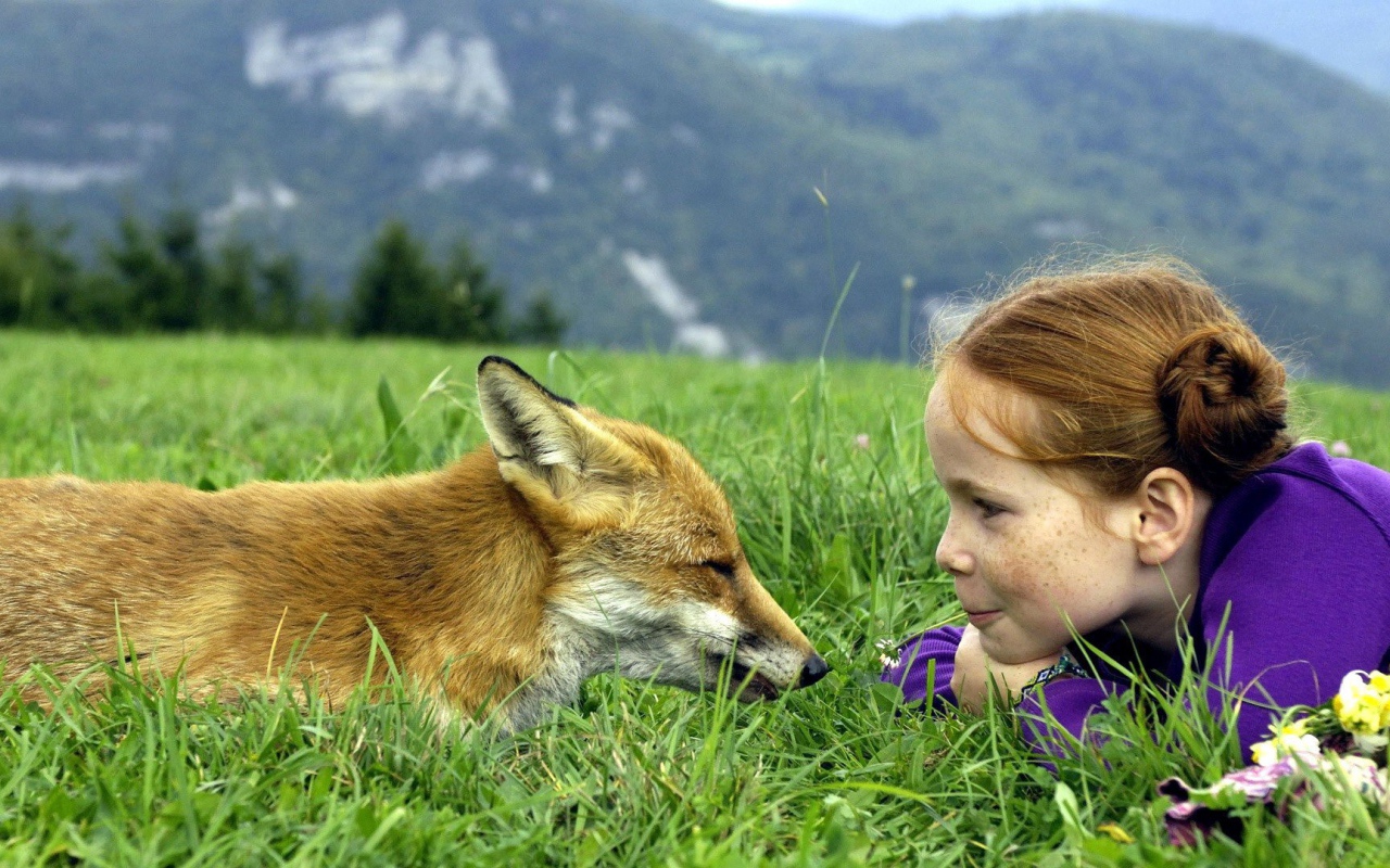 Девочка и лисёнок