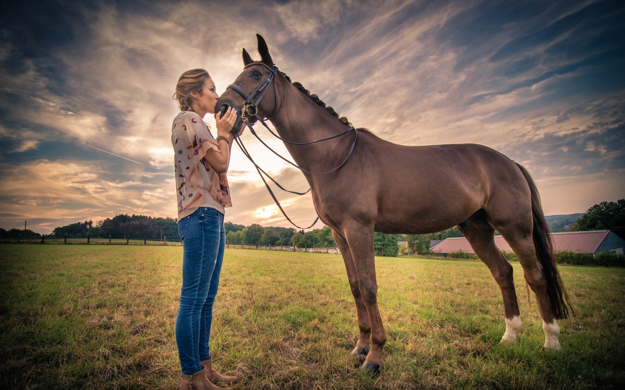 Красивая девушка целует коня под красивым небом