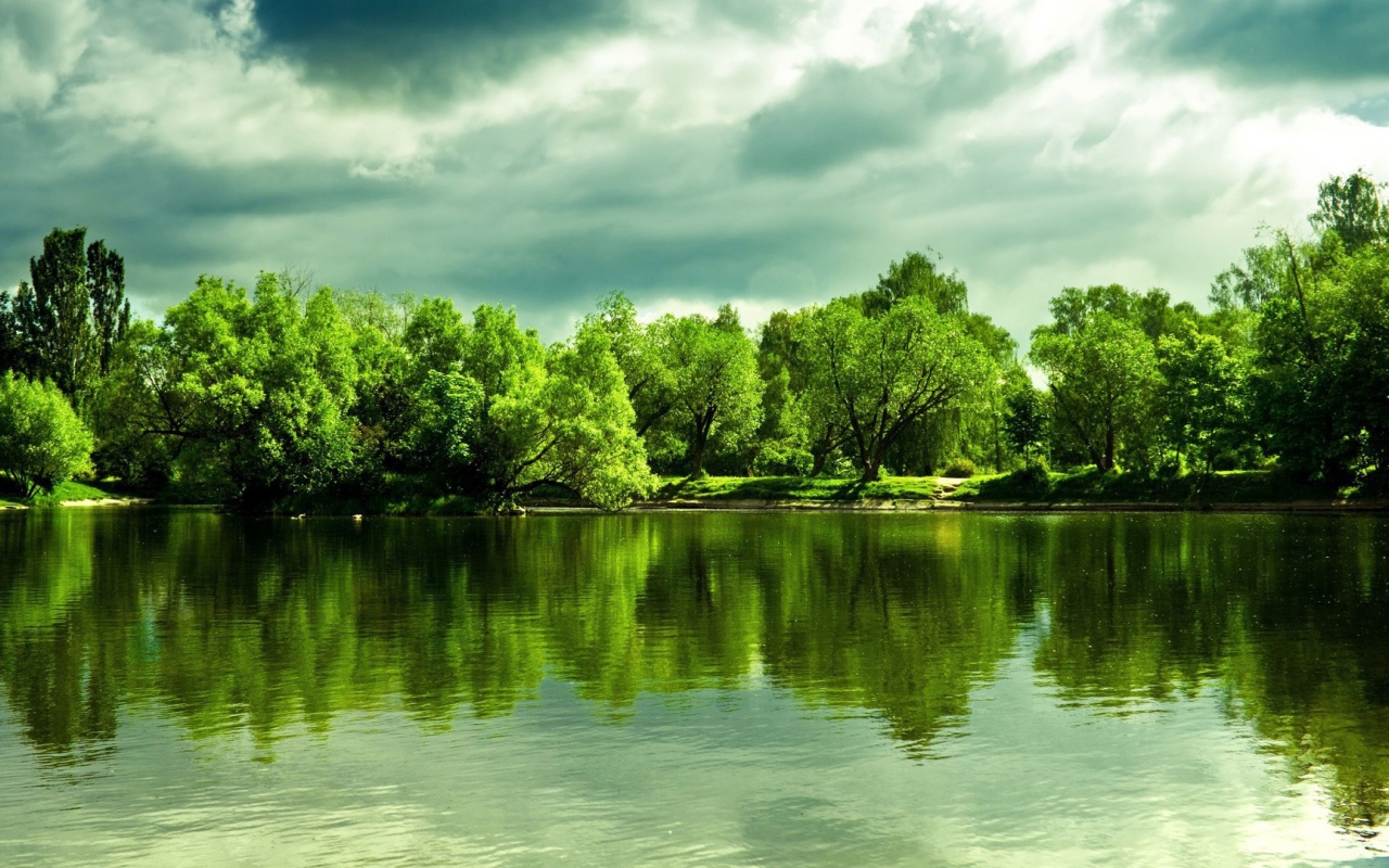 Зеленые деревья отражаются в глади  озера 