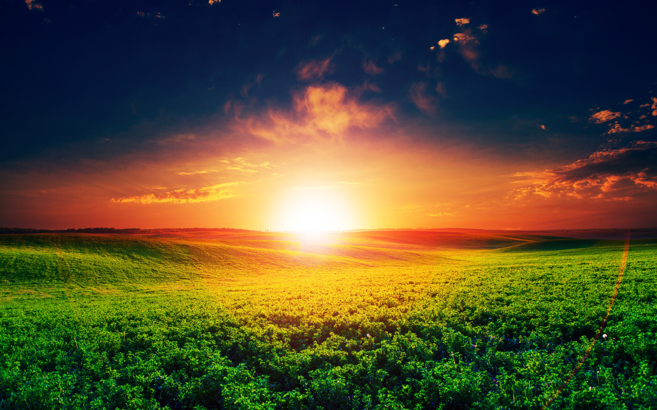 Восход яркого летнего солнца над полем