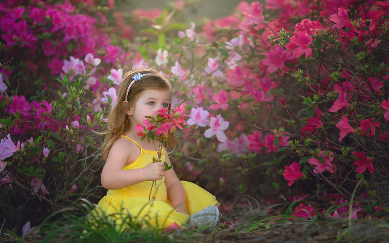 Маленькая девочка в желтом платье сидит рядом с розовыми цветами