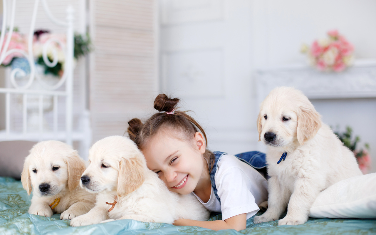 Маленькая улыбающаяся девочка лежит со щенками ретривера