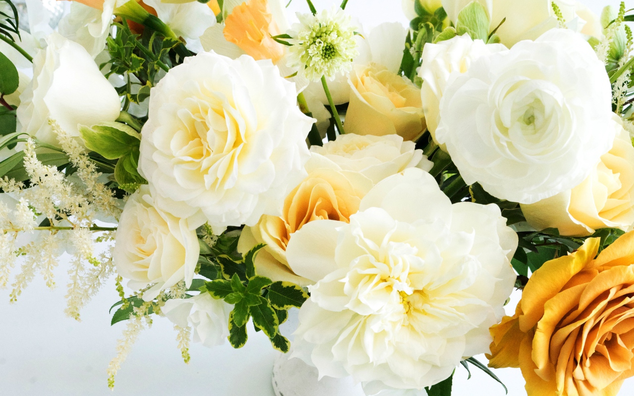 Букет белых и желтых роз на белом фоне