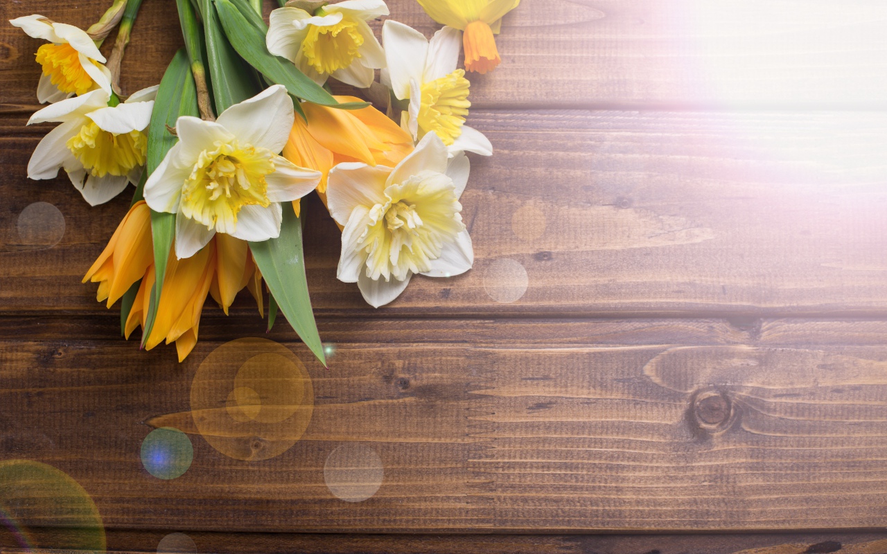 Нарциссы и желтые тюльпаны на деревянном фоне