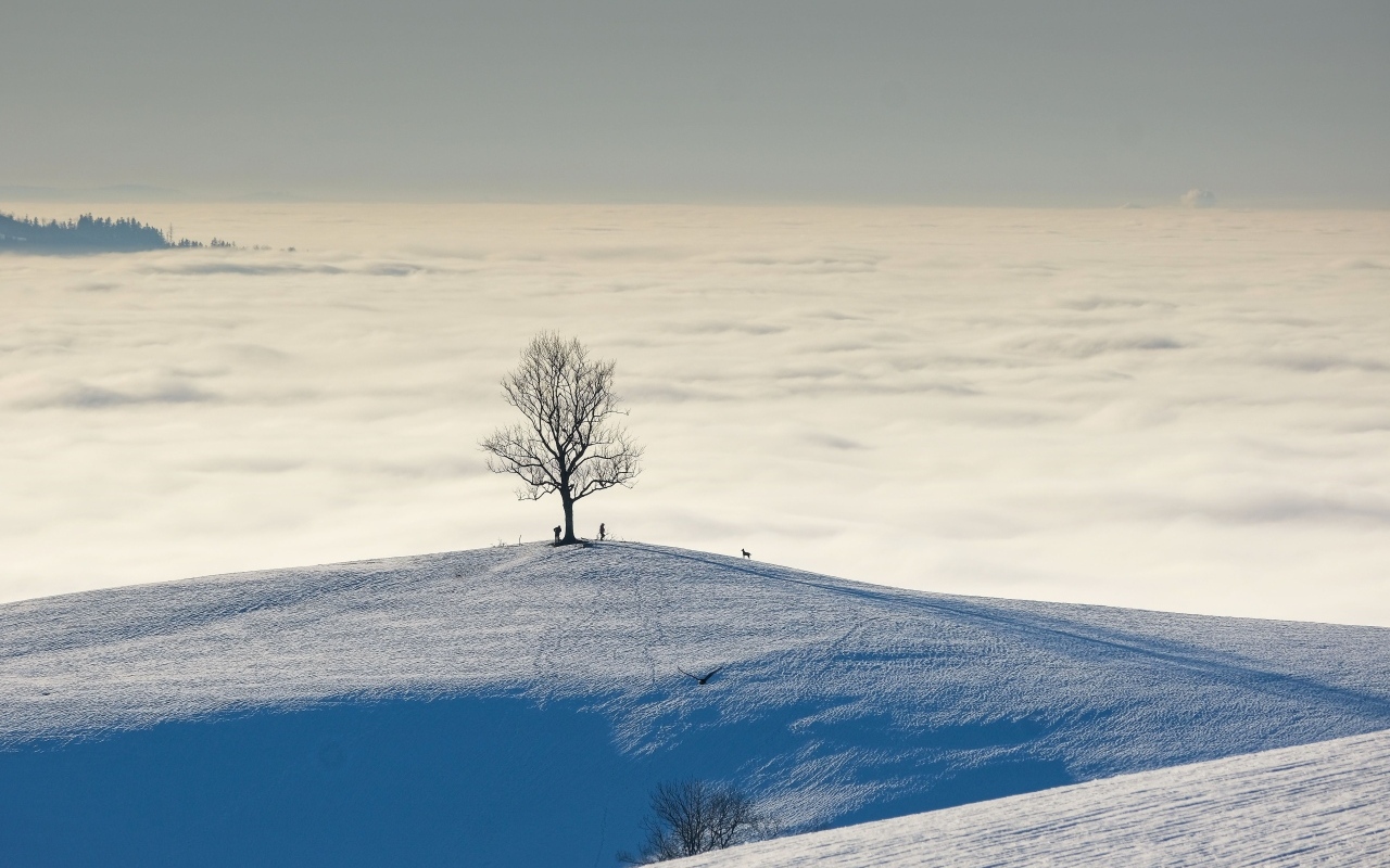 Густые белые облака в заснеженных горах