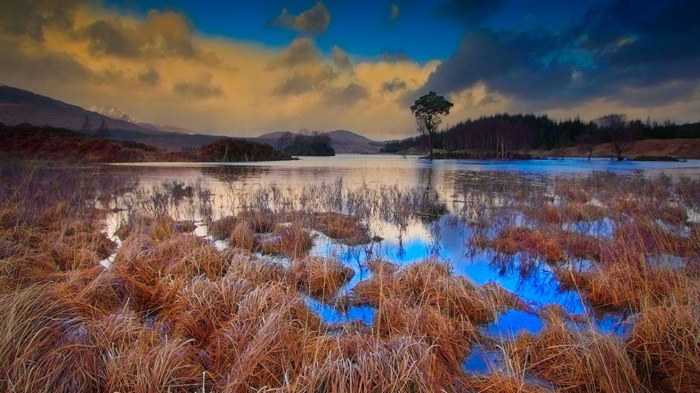 The Scottish bog wallpapers and images wallpapers, pictures, photos