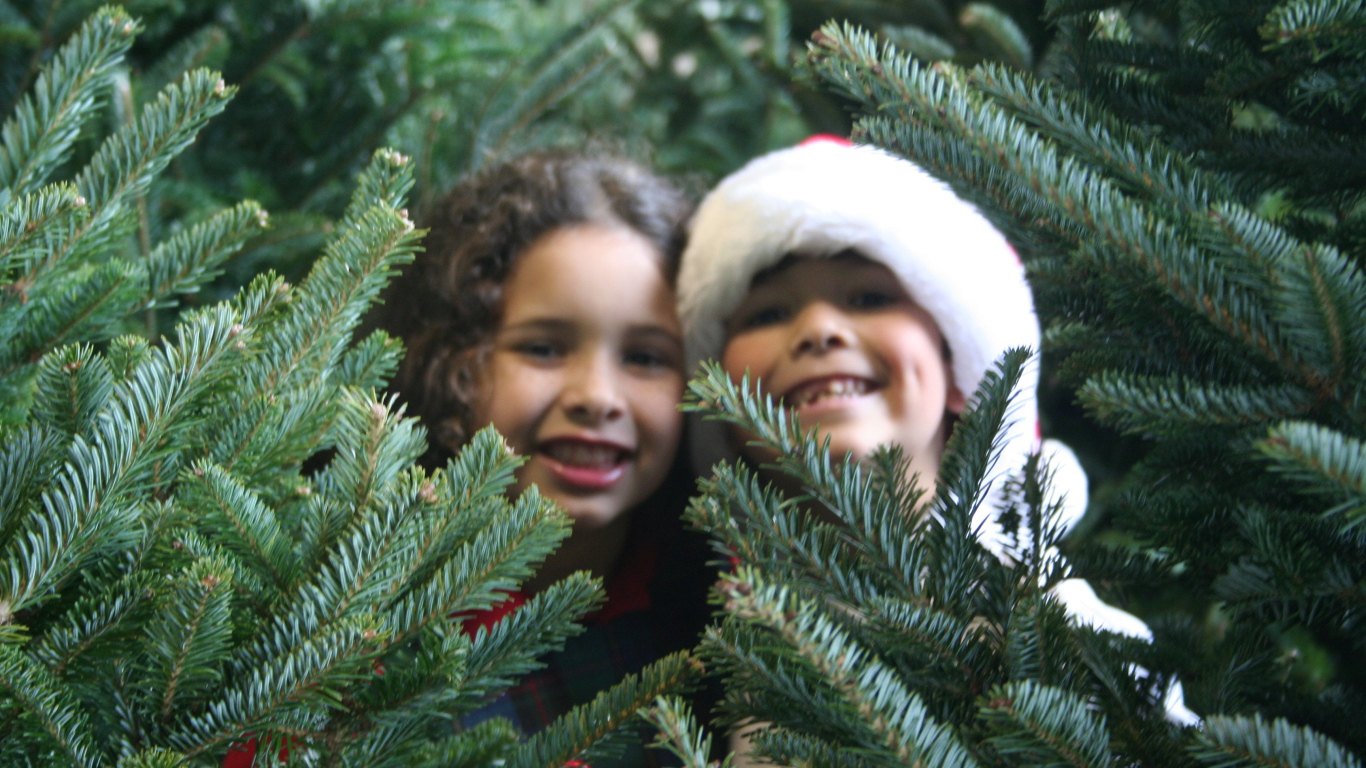 Children at the Christmas Tree 2014
