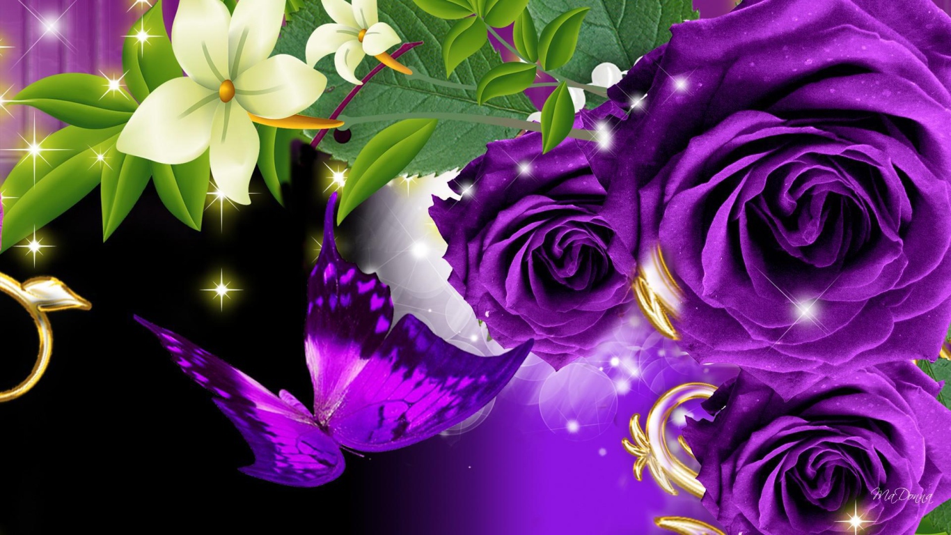 Фиолетовые розы и бабочка на чёрном фоне