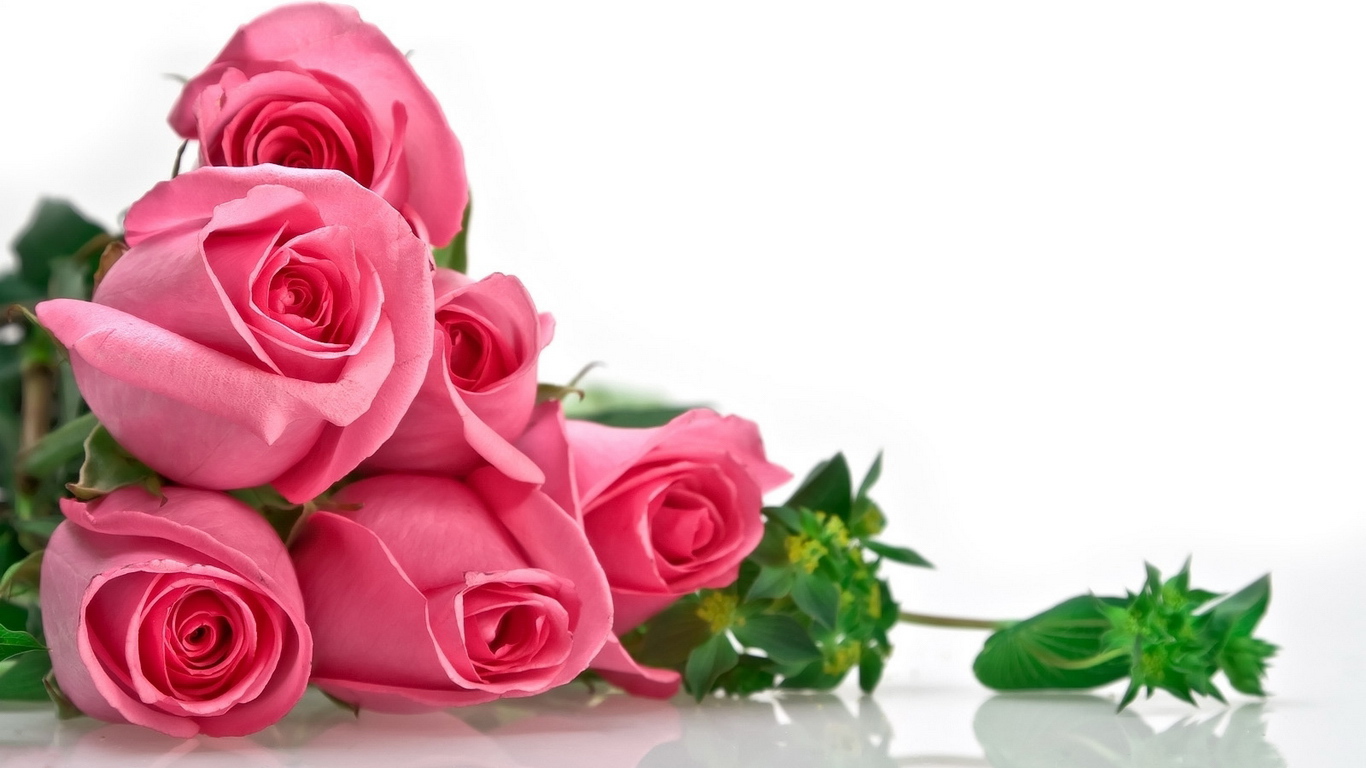Розовые розы на 8 марта