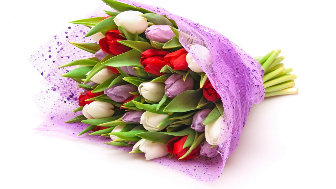Тюльпаны для девушек на восьмое марта