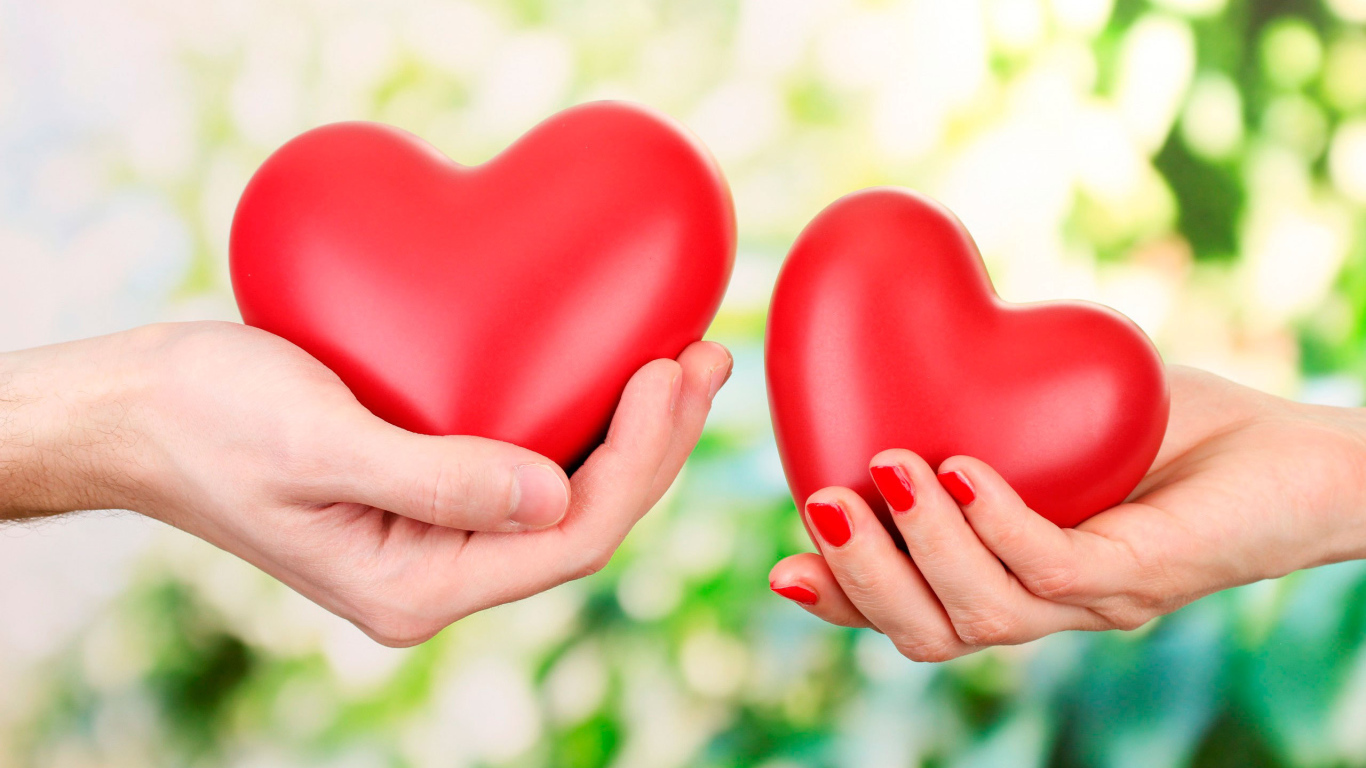 Сердца в руках на День Святого Валентина 14 февраля
