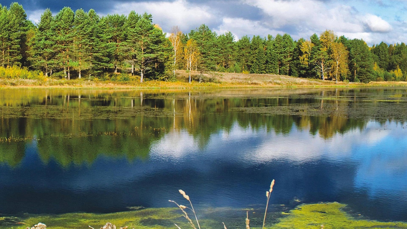 Осень на озере