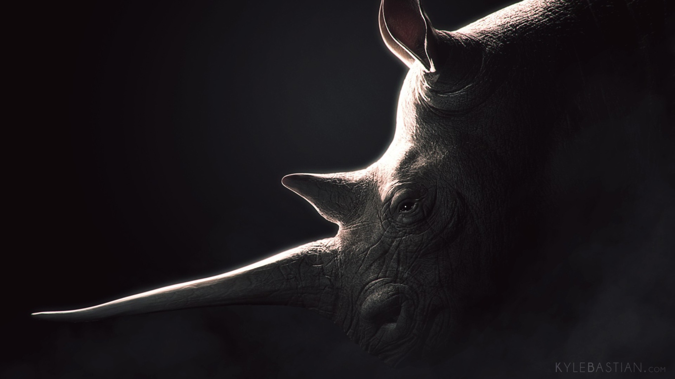 Rhino, black background