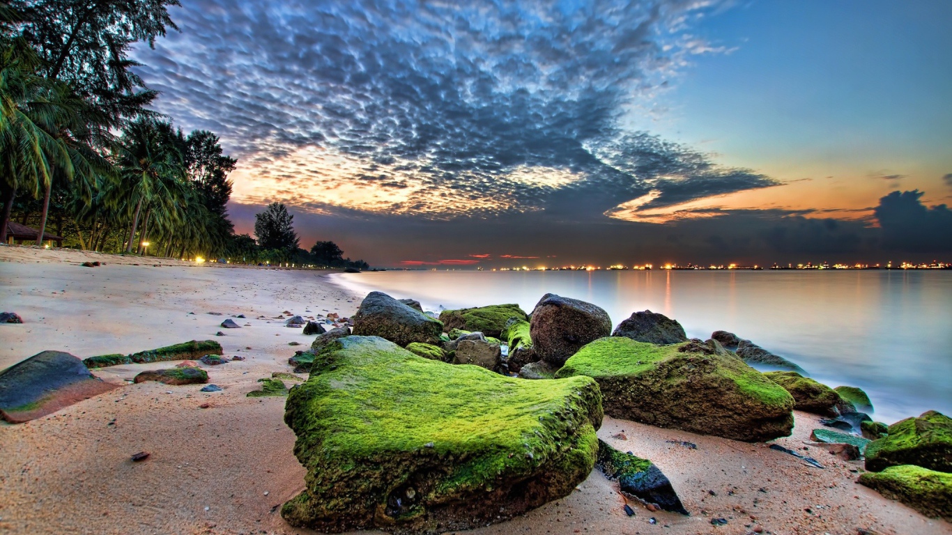 Зеленые камни на песке пляжа
