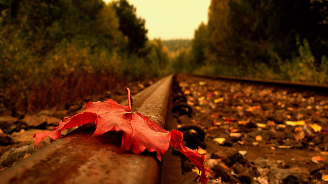 Осенний лист на рельсе