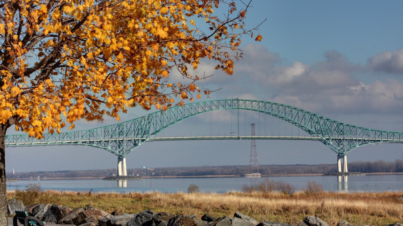 Осеннее дерево на фоне арочного моста
