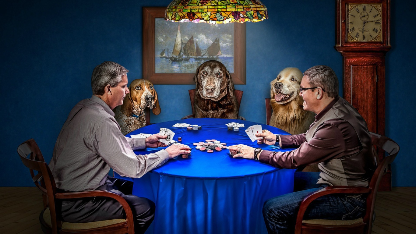 Игра в покер с собаками