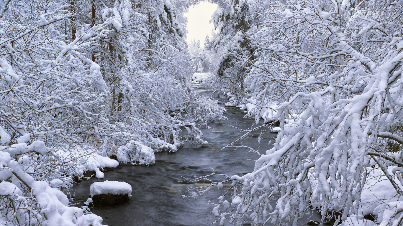 Снежная зима в Швеции