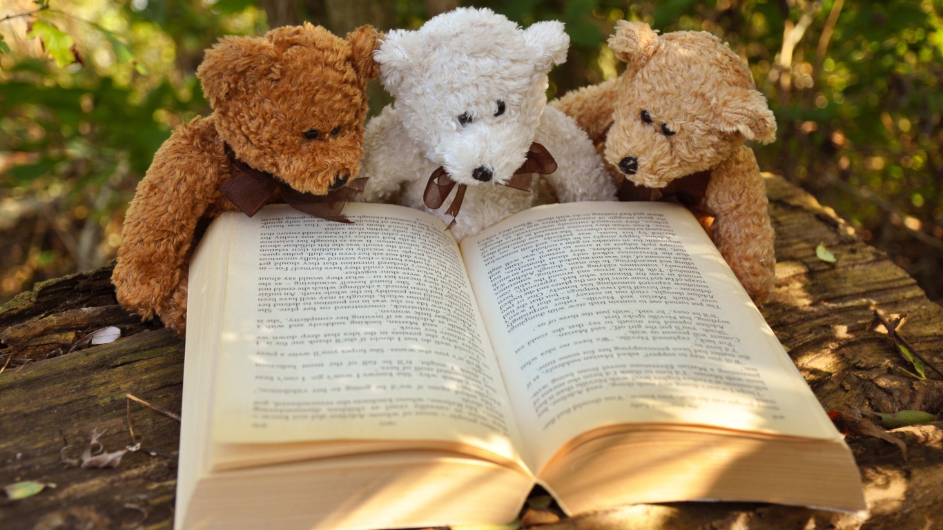 Three teddy bears reading a book