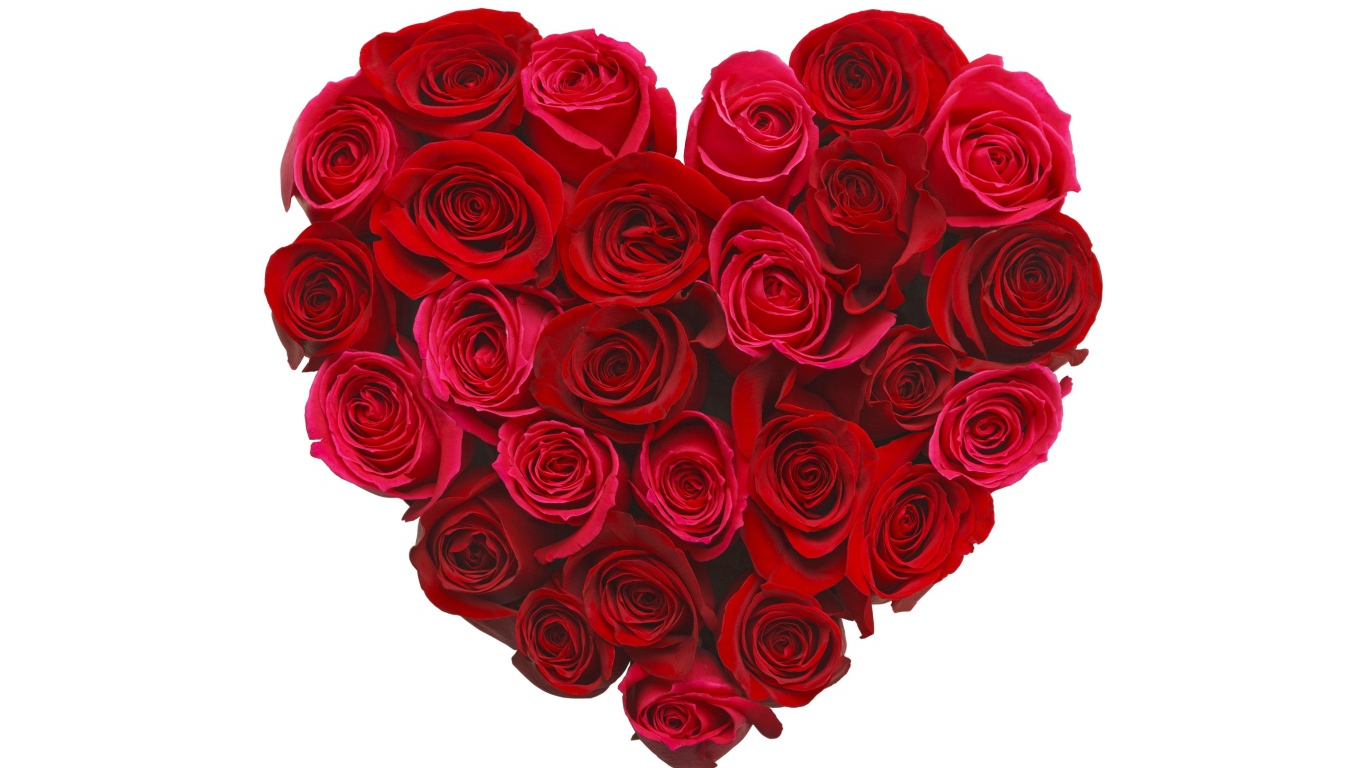 Сердце из красивых красных роз на белом фоне