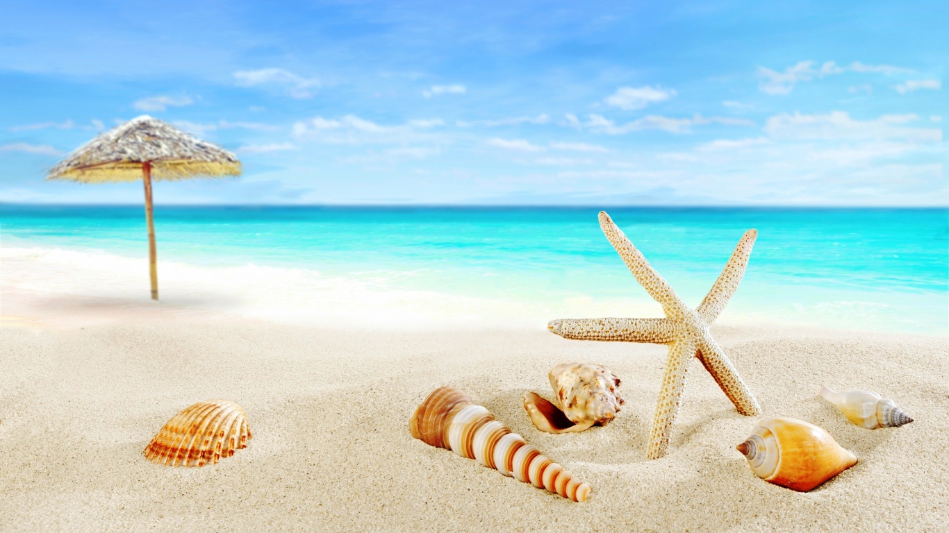 Ракушки и зонт на тропическом пляже