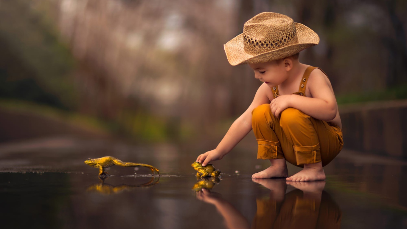 Маленький мальчик играет с лягушками 