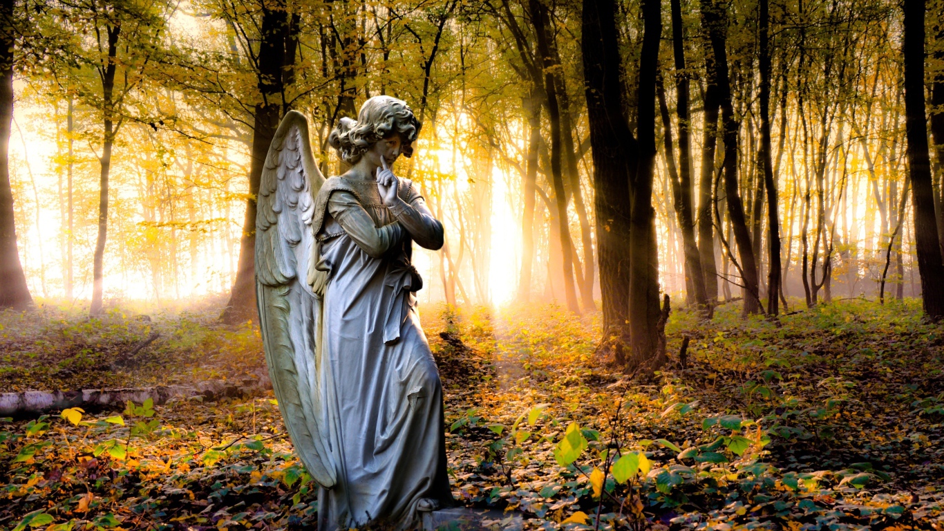 Статуя ангела в лесу в лучах солнца