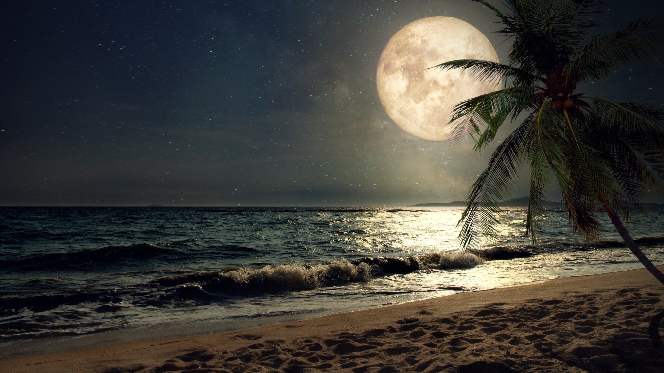 Большая желтая луна над тропическим пляжем