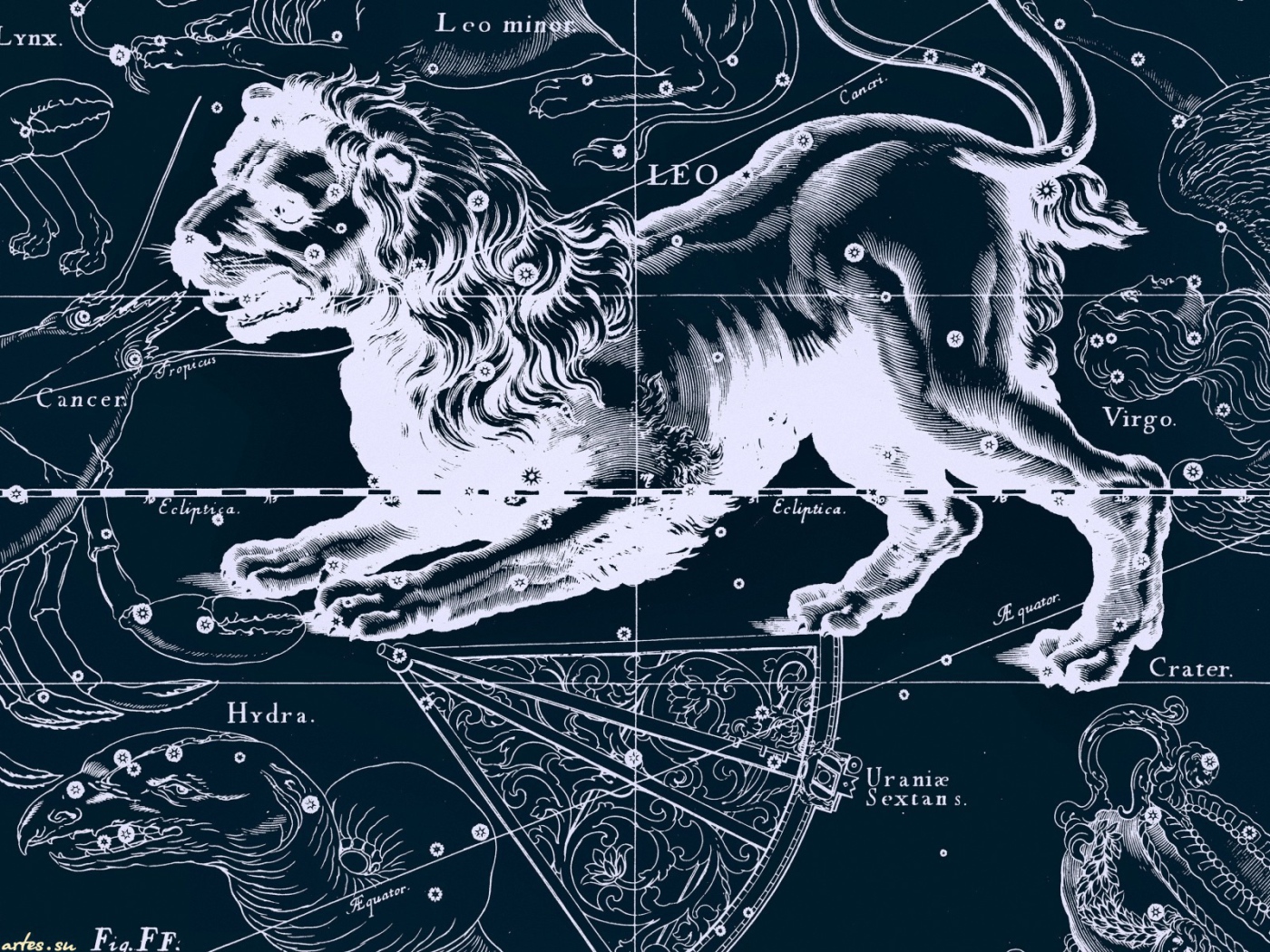 Карта звездного неба, лев
