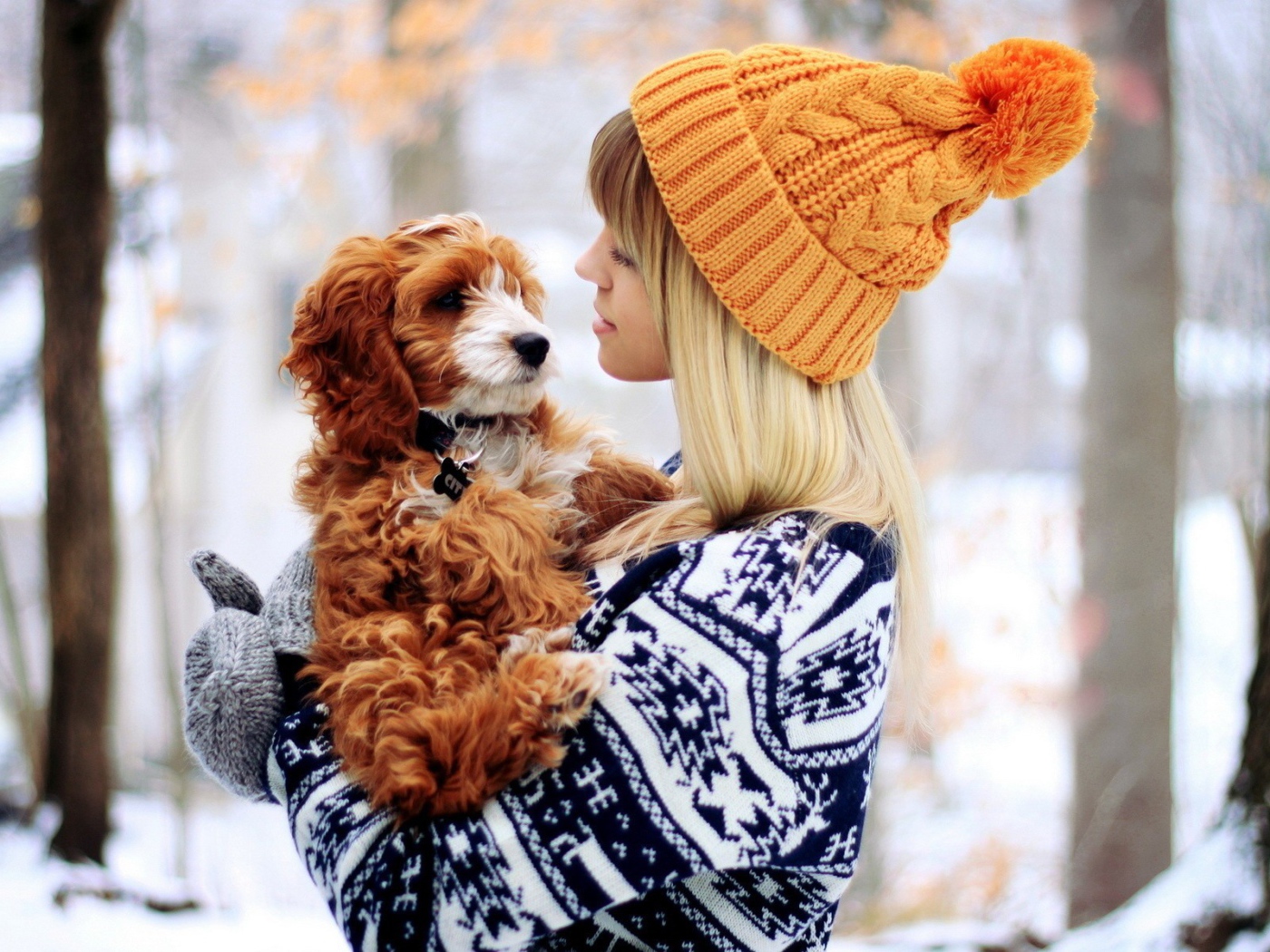 Девушка в свитере с рыжей собакой