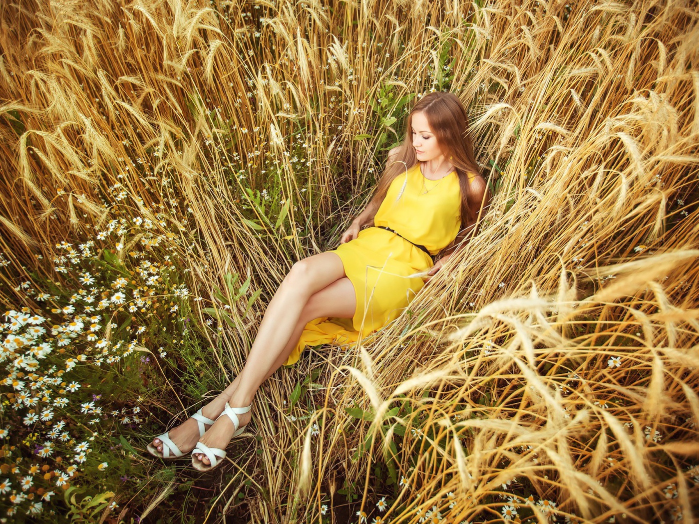 Девушка в желтом платье лежит на колосках пшеницы