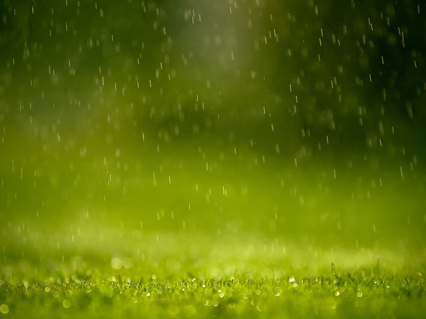 Зеленая трава под дождем, фон