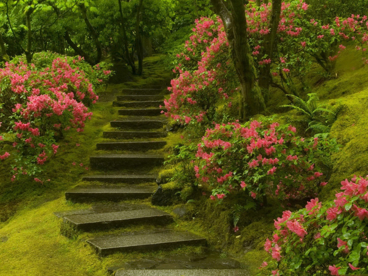 Каменная лестница в цветущем саду