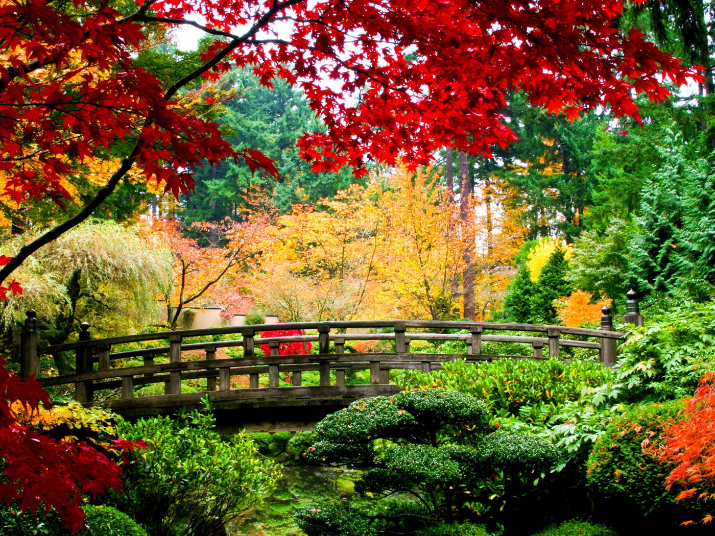 Деревянный мост в саду
