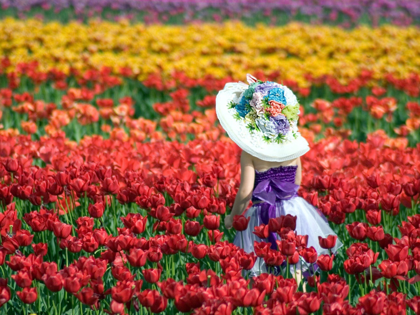 Девочка в шляпе идет среди красных тюльпанов