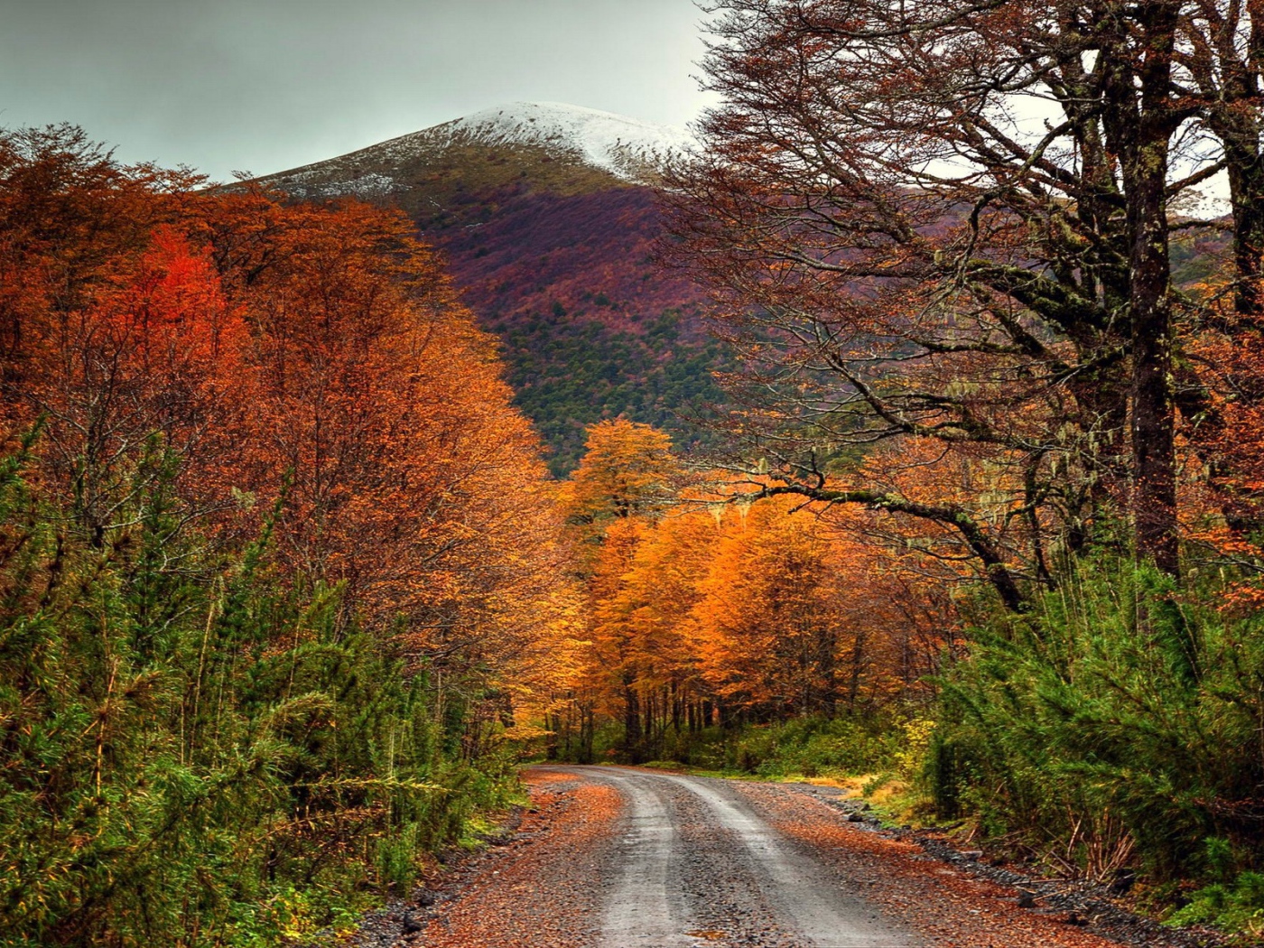 Дорога в осеннем лесу у подножия горы, Чили
