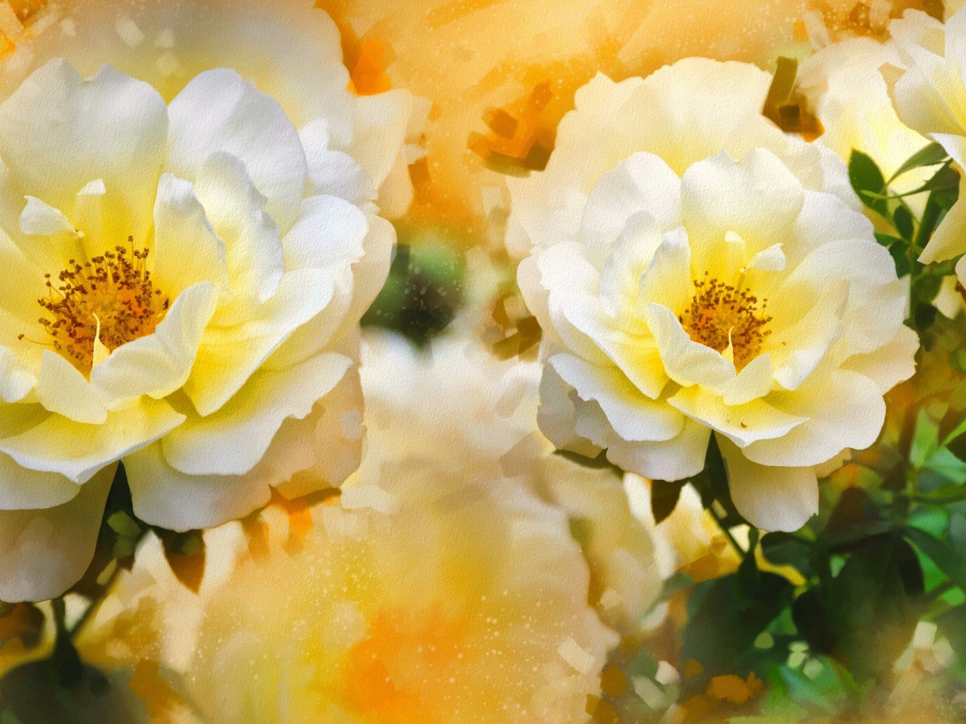 Beautiful painted blooming white roses