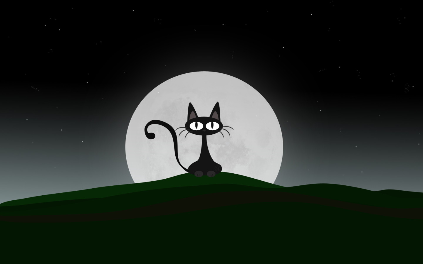 Night Cat