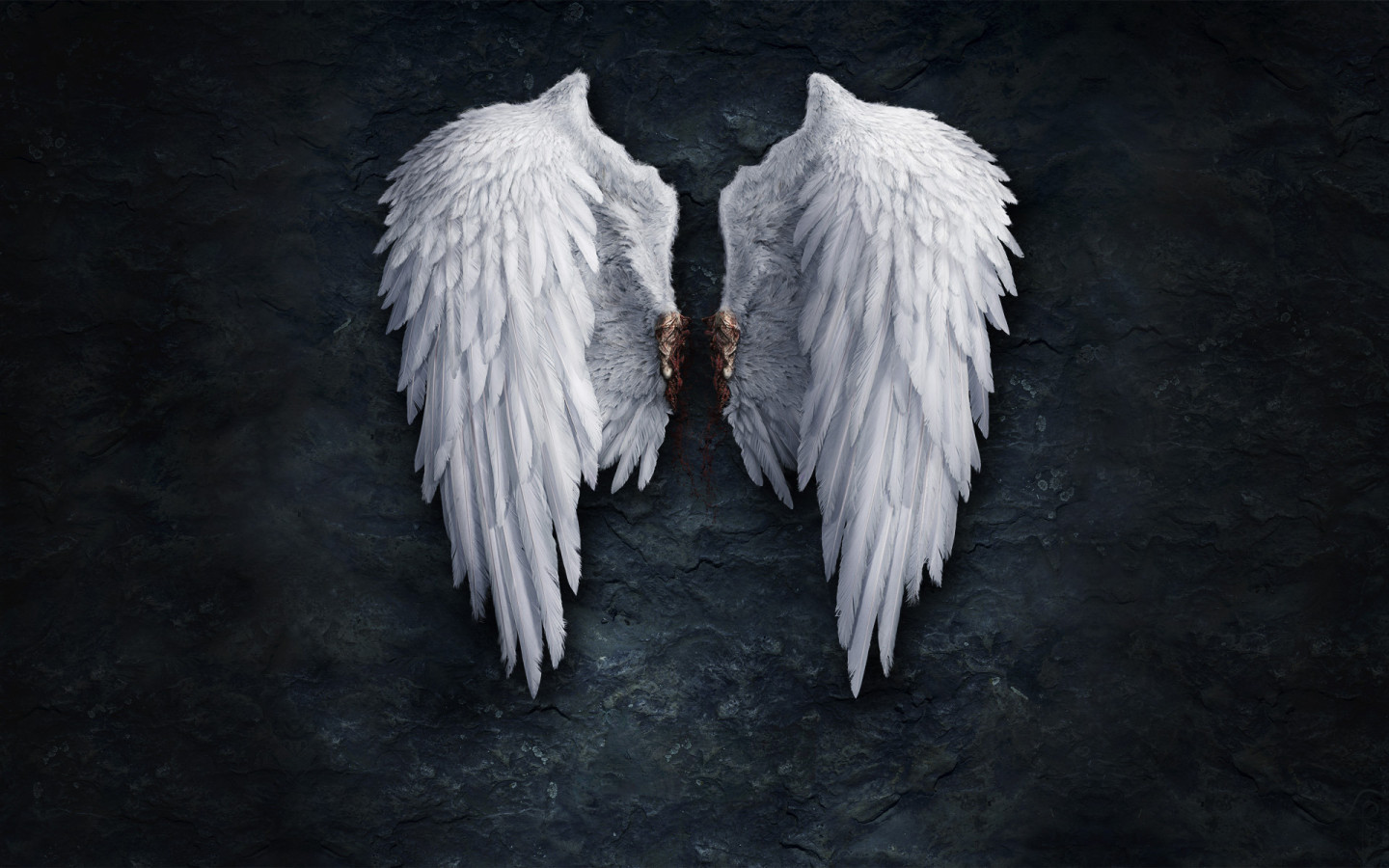 Angel Wings Desktop wallpapers 1440x900