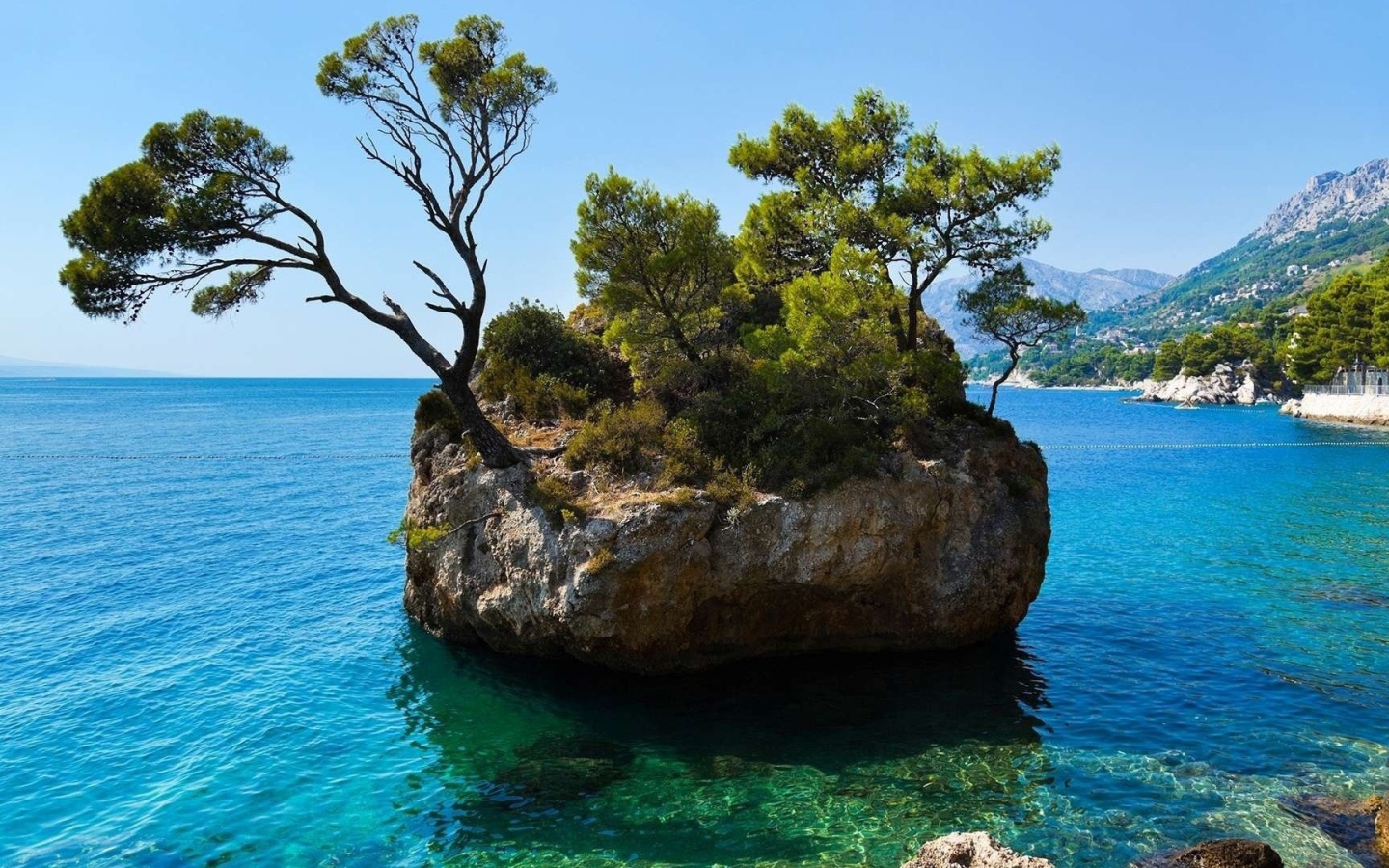 Каменный остров с деревьями