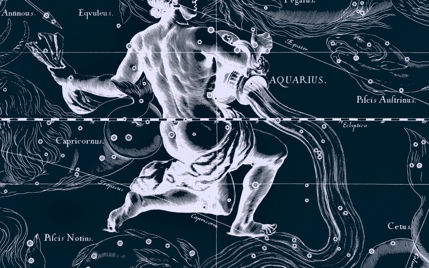 Карта звездного неба, водолей