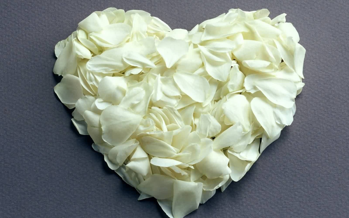 Сердце из белых лепестков на День Влюбленных 14 февраля