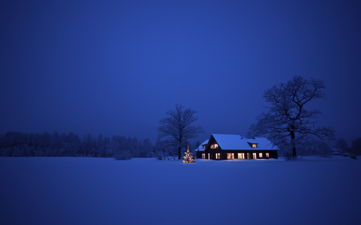 Синева зимней ночи