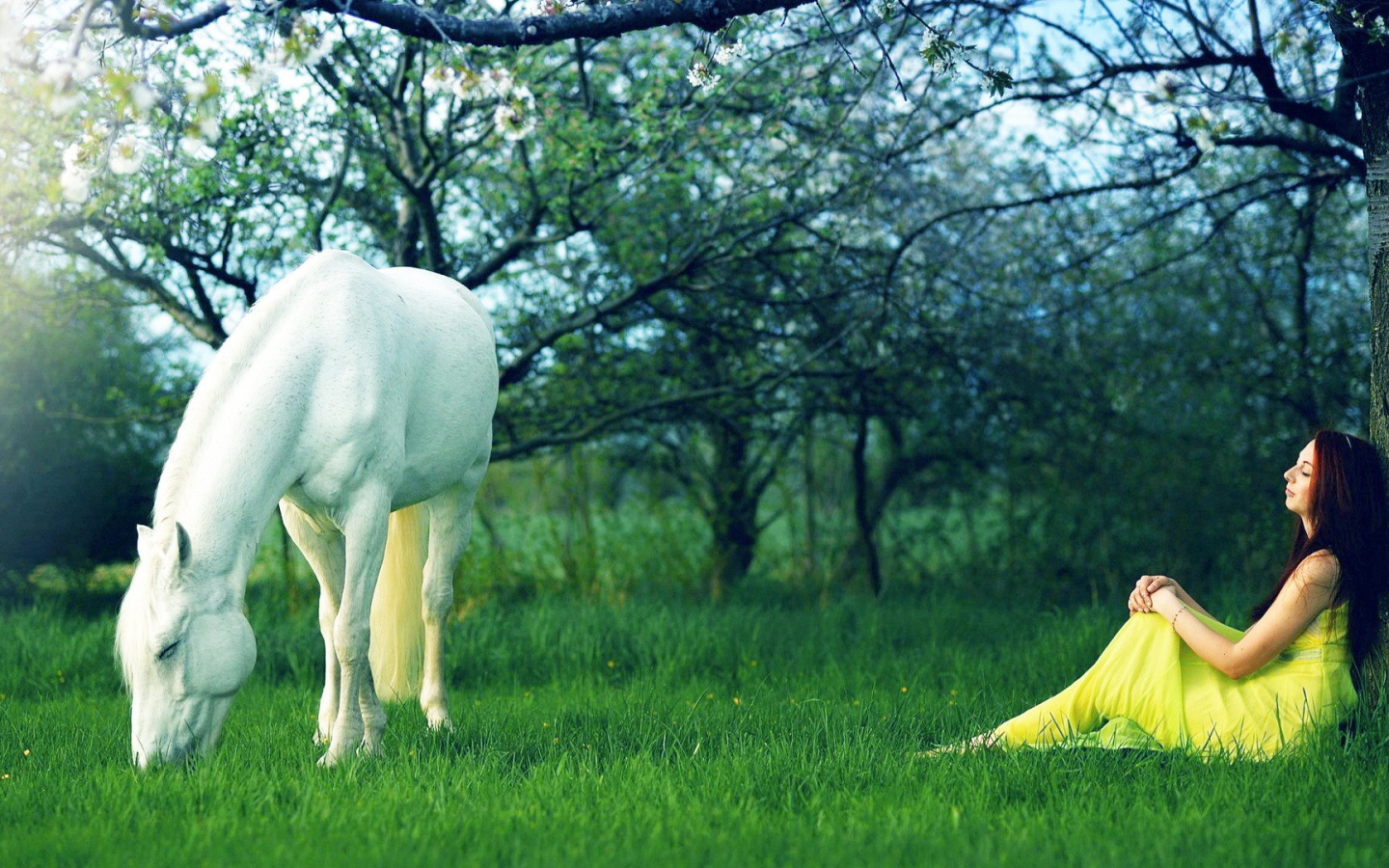 Белая лошадь и девушка в желтом платье