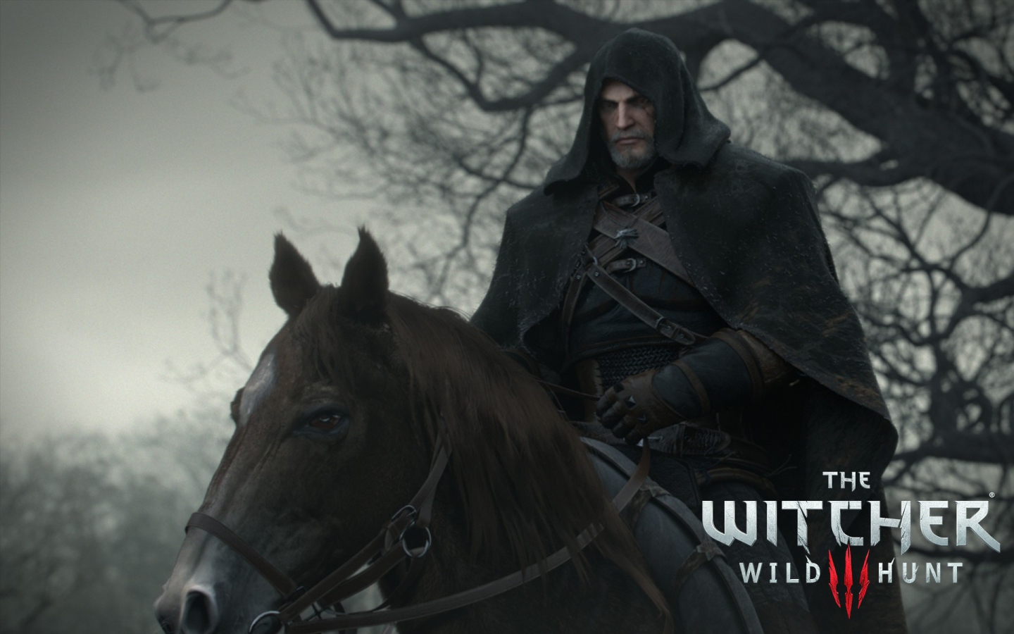 Black Rider in the game The Witcher 3 Wild Hunt