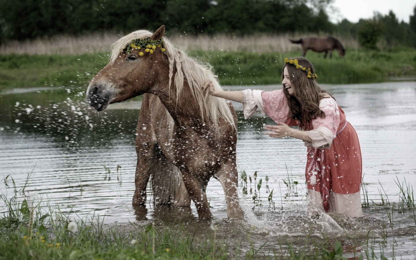 Девушка купает лошадь