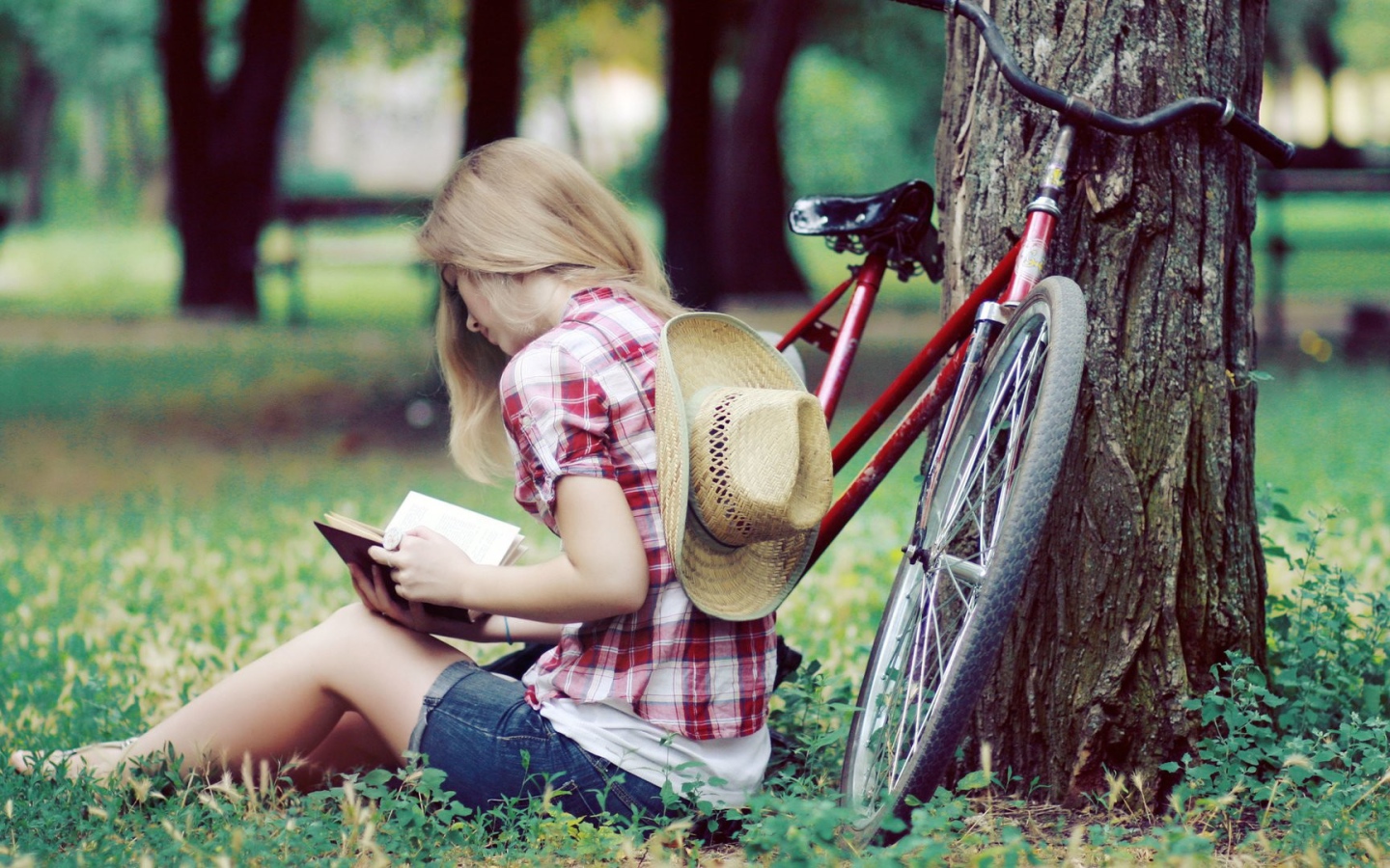 Девушка читает книгу сидя в парке на газоне