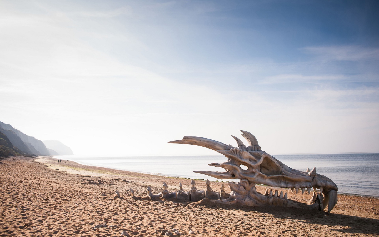 Череп дракона на пляже