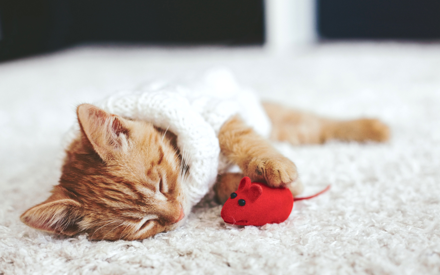 Маленький рыжий котенок спит с игрушечной мышкой